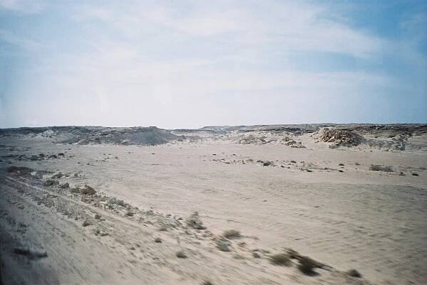 Western Sahara - Wikidata