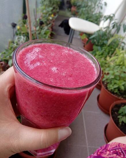 Koktejly / smoothie i ze salátu – vegdream.cz