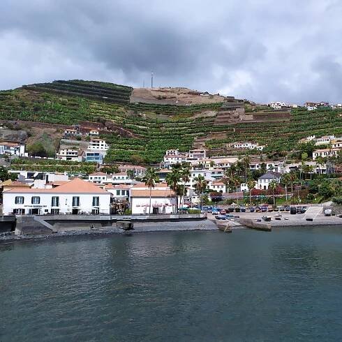 Z Funchalu: Cabo Girão a degustace Poncha klasickým VW | GetYourGuide