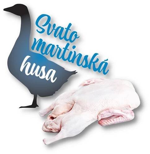 Návrh bez názvu (7)