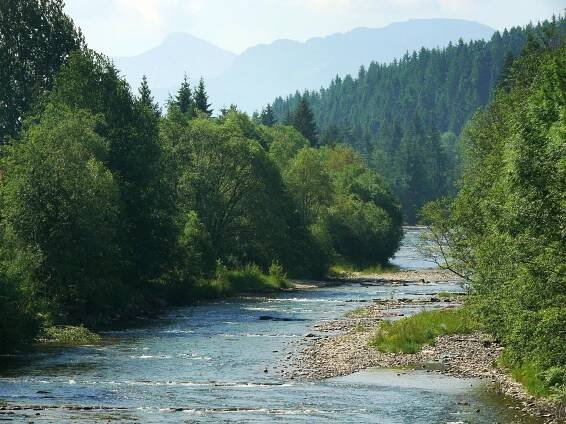 Černý Dunajec