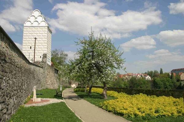 Vodárenská věž, Tábor - Informační centrum pro mládež České Budějovice