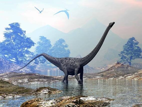 diplodocus dinosaurus chodí klidně ve vodě - 3d render - diplodocus - stock snímky, obrázky a fotky