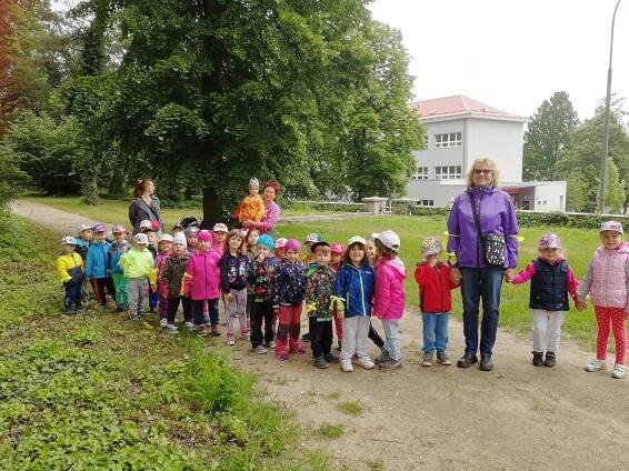 IMG 20190531