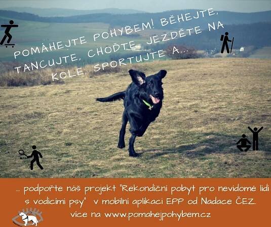 EPP Pomáhej pohybem - Škola pro výcvik vodicích psů, s.r.o. a Spolek Vodicí pes, z.s.