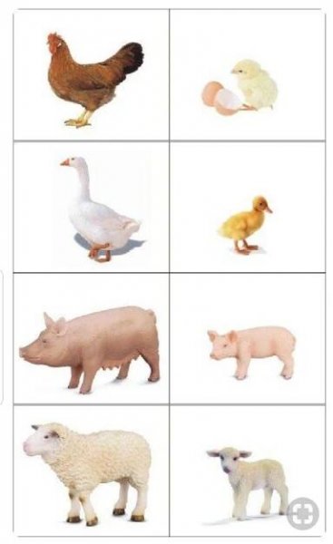 Pin van Rose Necor op Preschool Theme: Farm | Boerderijdieren, Boerderij thema knutselen, Boerderij thema