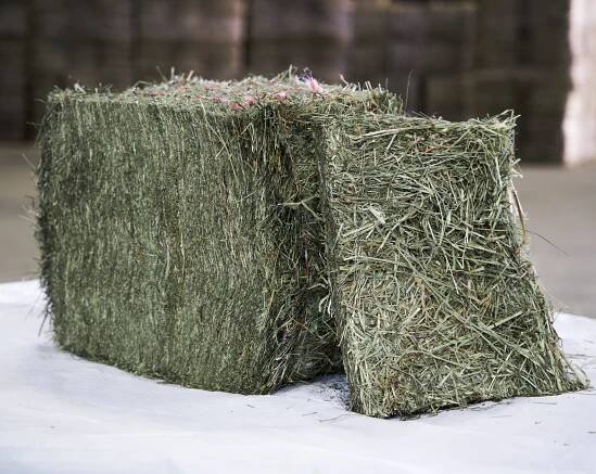 Foin de crau 2ème couipe nano et tranche ration