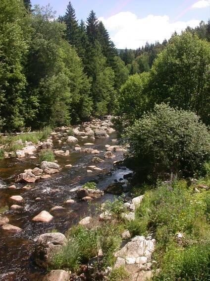 Kořenov