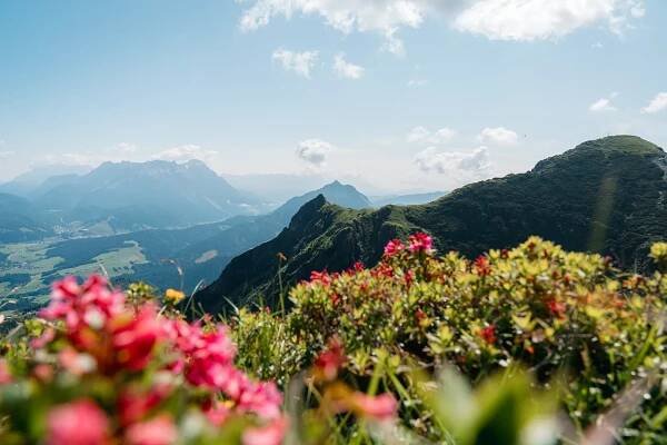 Wildseeloder | Fieberbrunn