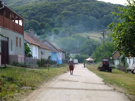 Zahrada na niti: srpna 2015