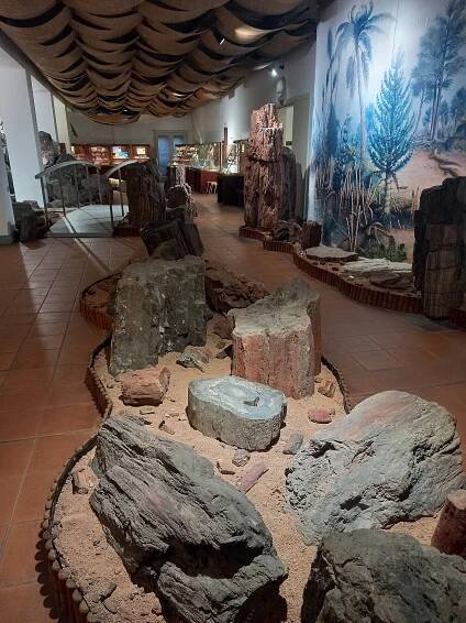 Soubor:Expozice geologického vývoje - Klenotnice, Městské muzeum Nová Paka.jpg