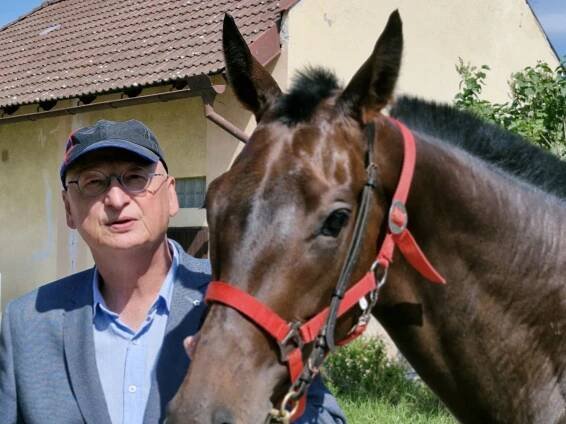 Dostihy - Sport.cz