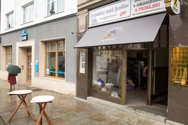Levandulové bistro: vítejte ve voňavé oáze v centru města! - OLOMOUC.CZ