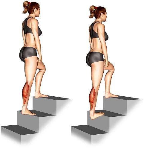 Calves Stretch Muscles Worked