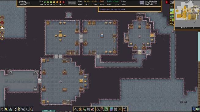 Dwarf Fortress Premium PC Review