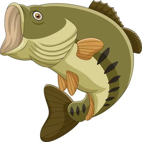 Vektorové ilustrace kreslené bass ryby izolované na bílém pozadí — Ilustrace