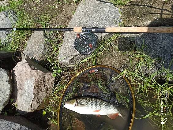 Anglingtackle.cz - MIDDY | YUKI Competition | YUKI-SEAGUAR | HJG-DRESCHER| RINGERS
