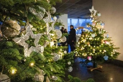 V ostravské fakultní nemocnici už svítí vánoční strom. Součástí vánoční výzdoby je vyřezávaný betlém v životní velikosti