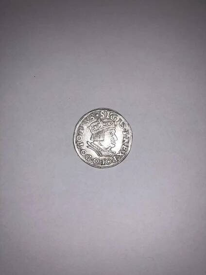 Zikmund I. Starý, 3 groš 1536, Gdaňsk - Numismatika
