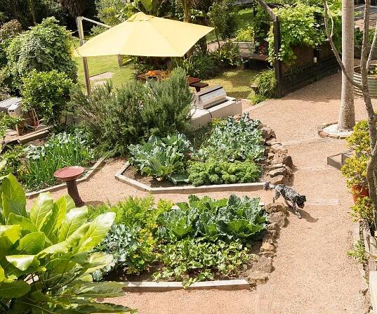 Here’s what you should be doing in the garden this May