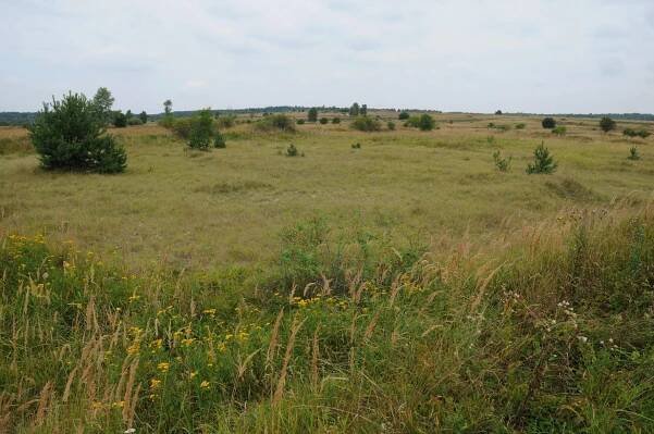 Přírodní rezervace Milovice | Česká krajina