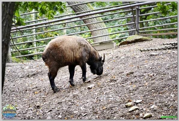 Zoopark Chomutov