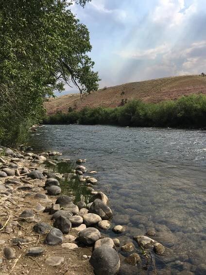 All Inclusive Yellowstone & Fly Fishing Trip | Wind River Flyfitter 