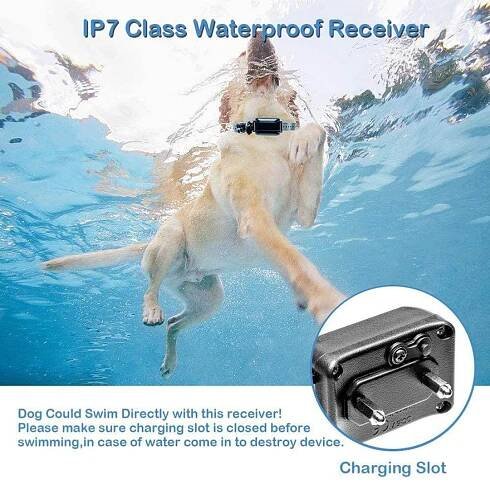 Dog Training Collars with Waterproof and Rechargeable Remote Dog Shock Collars