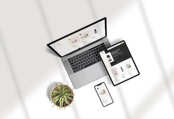 Root Wellness | Moolay Media