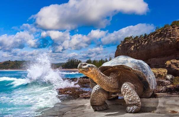 Galapágy