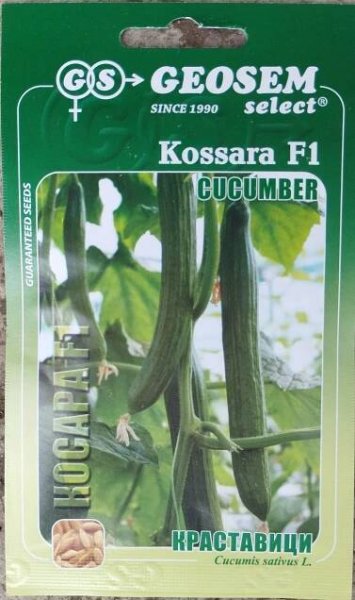 Geosem Okurka skleníková hadovka (Bulharské) Kossara F1_25 s