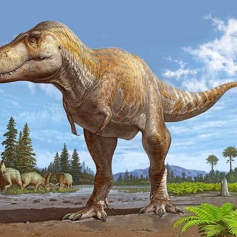 Fossils Reveal a Possible New Tyrannosaur Species, the Closest Relative of T. Rex