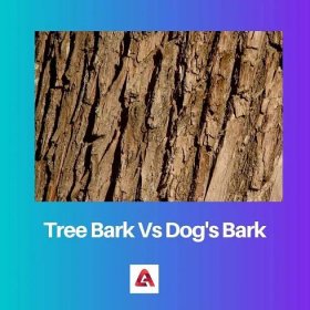 Kůra stromů vs štěkání psů