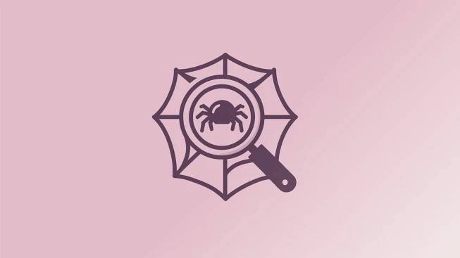 What Is a Web Crawler?