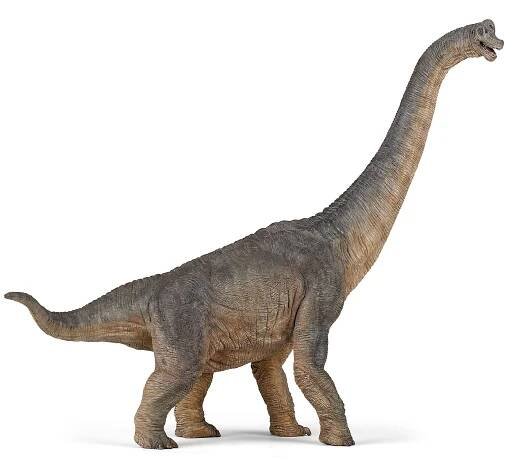 BRACHIOSAURUS