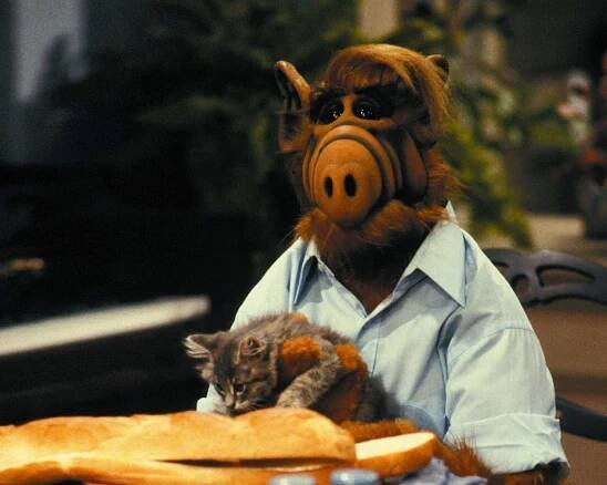 Vesmírný alien ALF má nejraději kočičí maso.