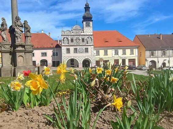 OBRAZEM: Jaro v ulicích. Květiny rozzářily Strakonice, Vodňany i další města