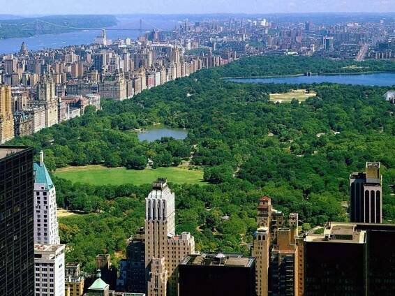 Kam s dětmi v New Yorku. Zábava pro děti v New Yorku