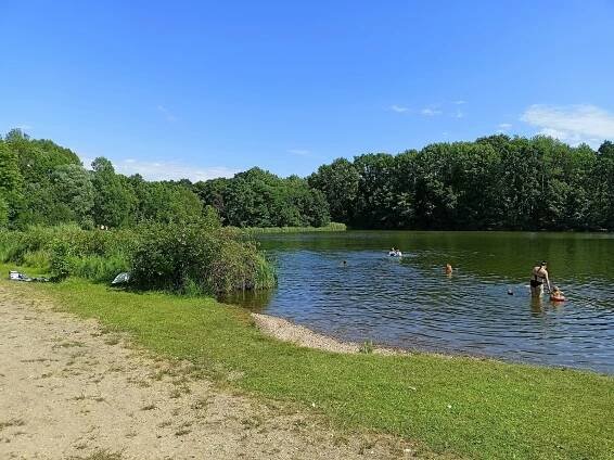 Koupaliště Motol: U přírodního plavání v rybníku vznikne moderní wellnes