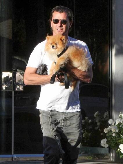 EXCLUSIVE: Gavin Rossdale in Studio City.