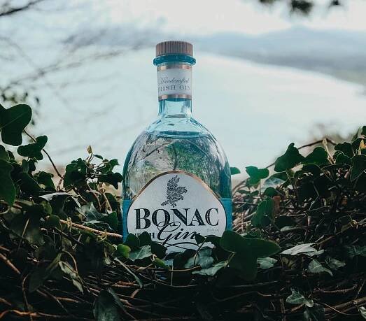 Where Are The Gin Distilleries in Ireland? | GastroGays