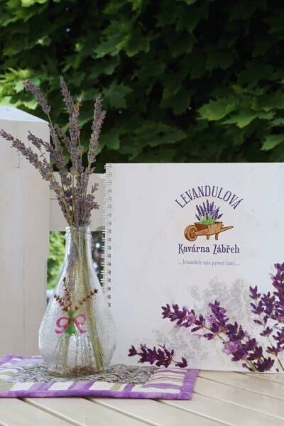 Levandulová kavárna Zábřeh | Levandulová farma