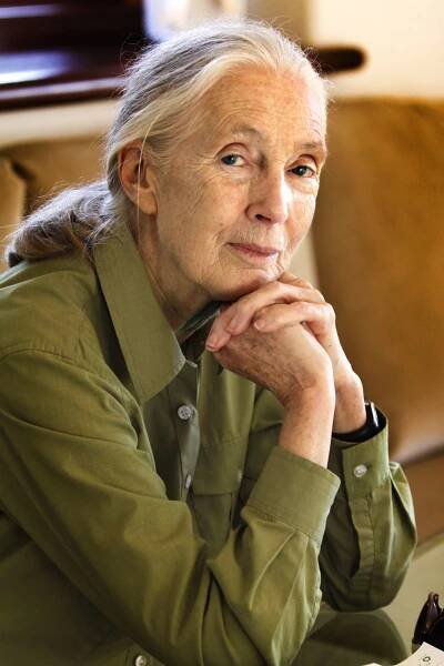 Jane Goodall