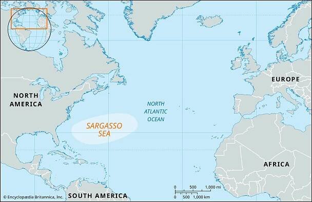 Sargasso Sea