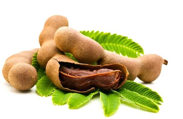 Tamarind indický