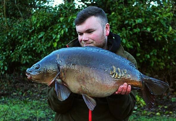Carp Characteristics: What Do Carp Eat & More | BadAngling