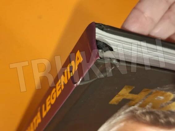 Kniha Hranatá legenda Filip Turek - Trh knih - online antikvariát