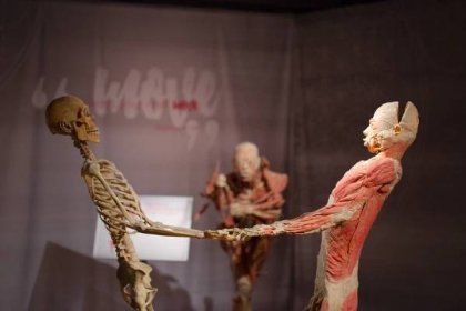 Výstava lidského těla The Body Exhibition přijede do Prahy v největší podobě - Pražský patriot 