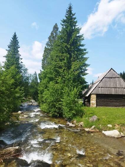 Novinky | Základná škola sv. Alžbety, Školská 15, 968 01 Nová Baňa