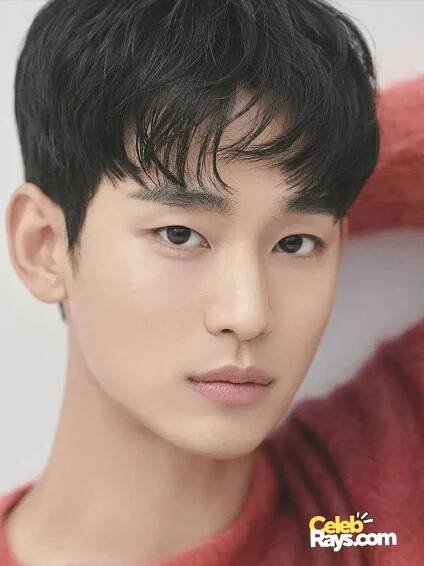 Kim Soo-hyun bio